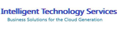 Intelligent Technology Services logo