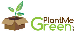 Avatar for Plant Me Green