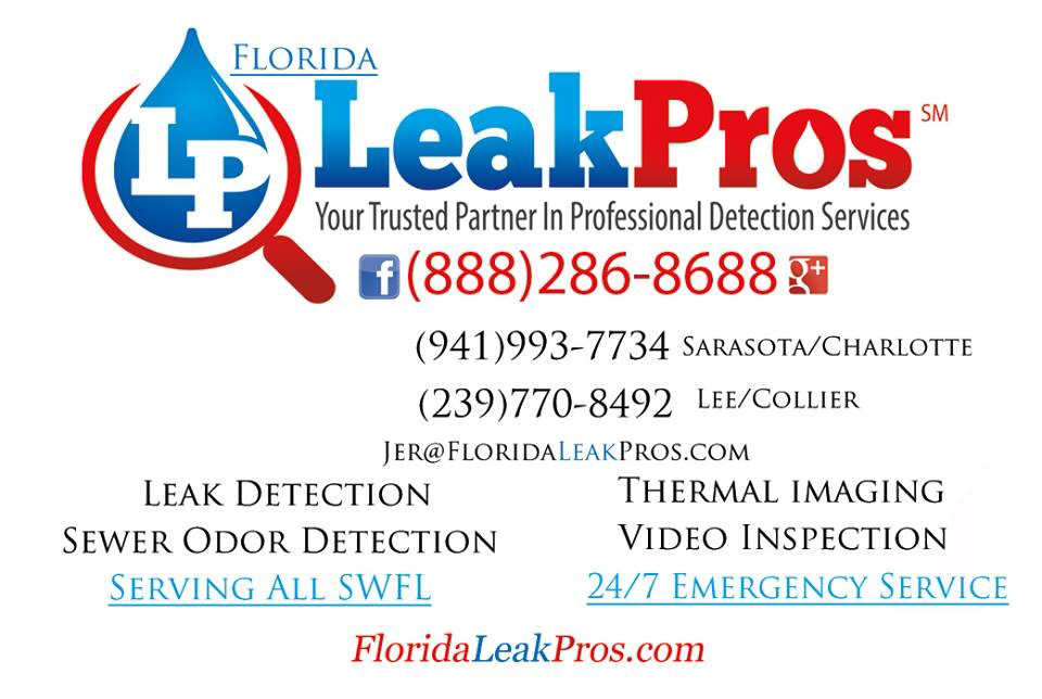 Logo for Florida Leak Pros