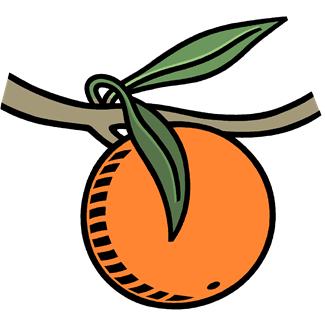 South Orange Property Services Inc. logo