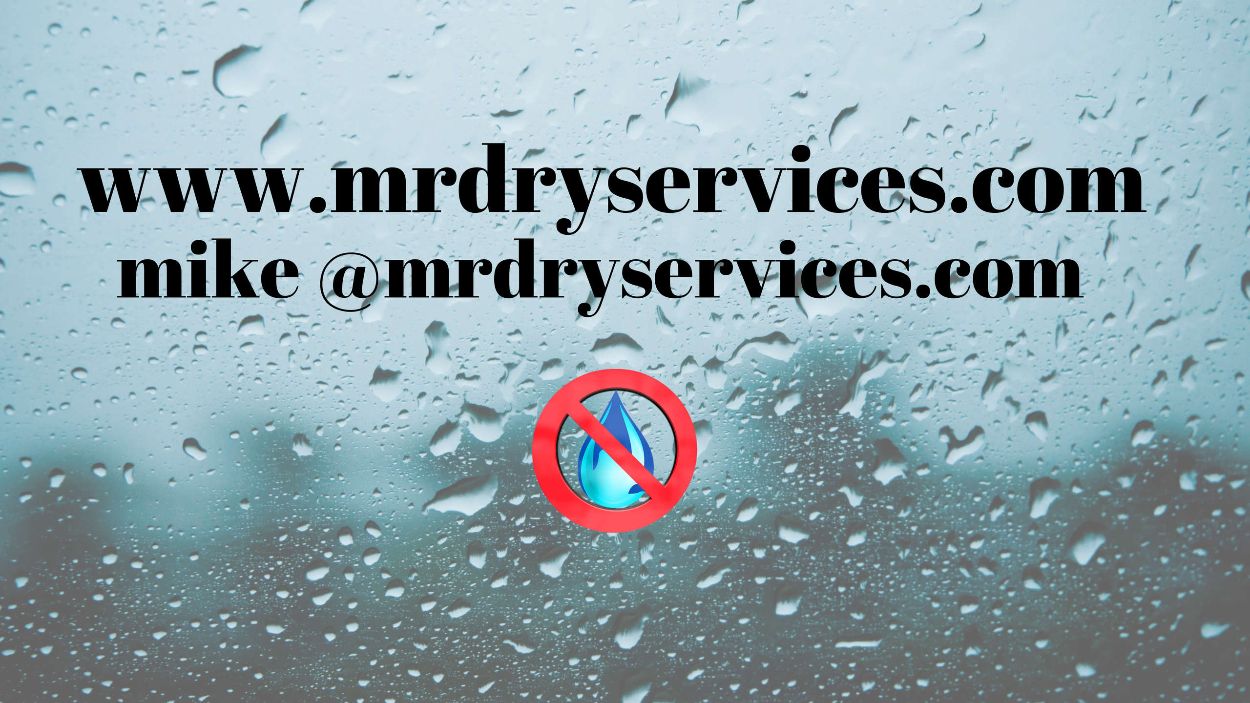 Mr Dry Services logo