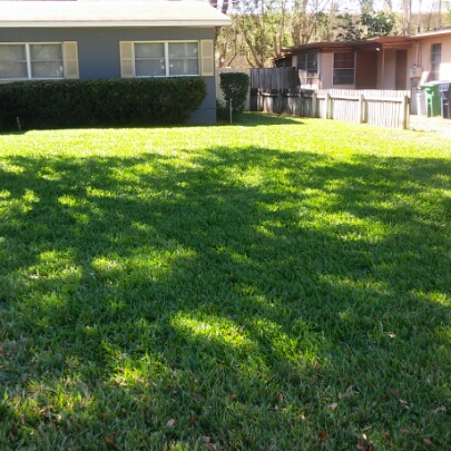 Avatar for Genesis One Lawn and Tree Service