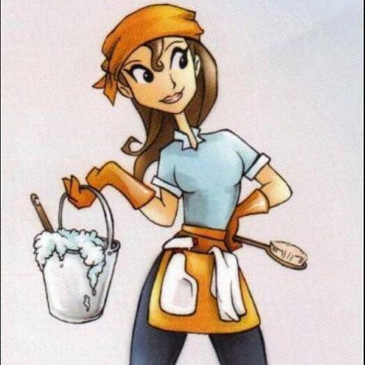 Affordable Professional Cleaning Services logo