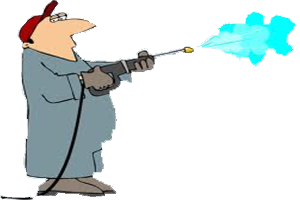 Palm Harbor Pressure Washing logo