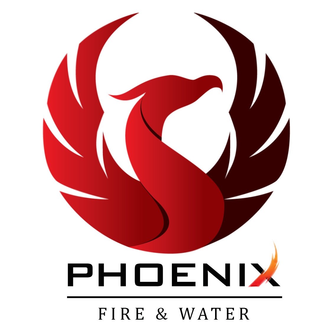 Phoenix Fire & Water, LLC logo