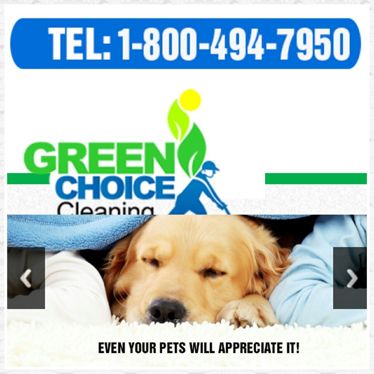 Green Choice Cleaning and Restoration Services logo