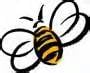 Buzy Bee Cleaning Specialist, LLC logo