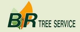 BR Tree Service logo