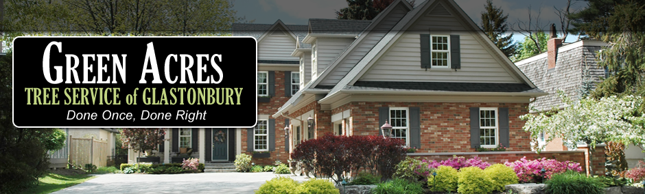 Green Acres Tree Service of Glastonbury. logo