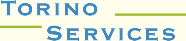 Torino Services LLC logo