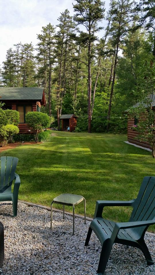 Jeffrey Tavares Jr Landscaping logo