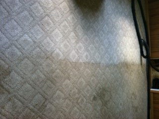 ABSHER CARPET CARE logo