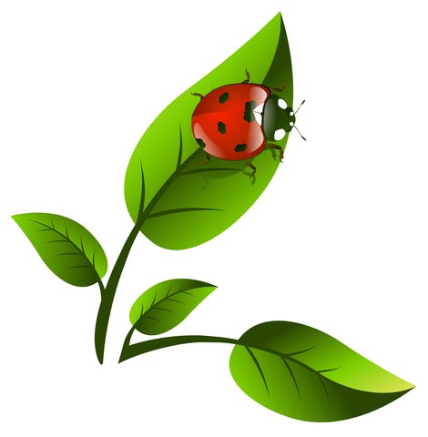 Eco Pest RI logo