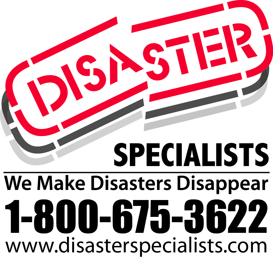 Disaster Specialists logo