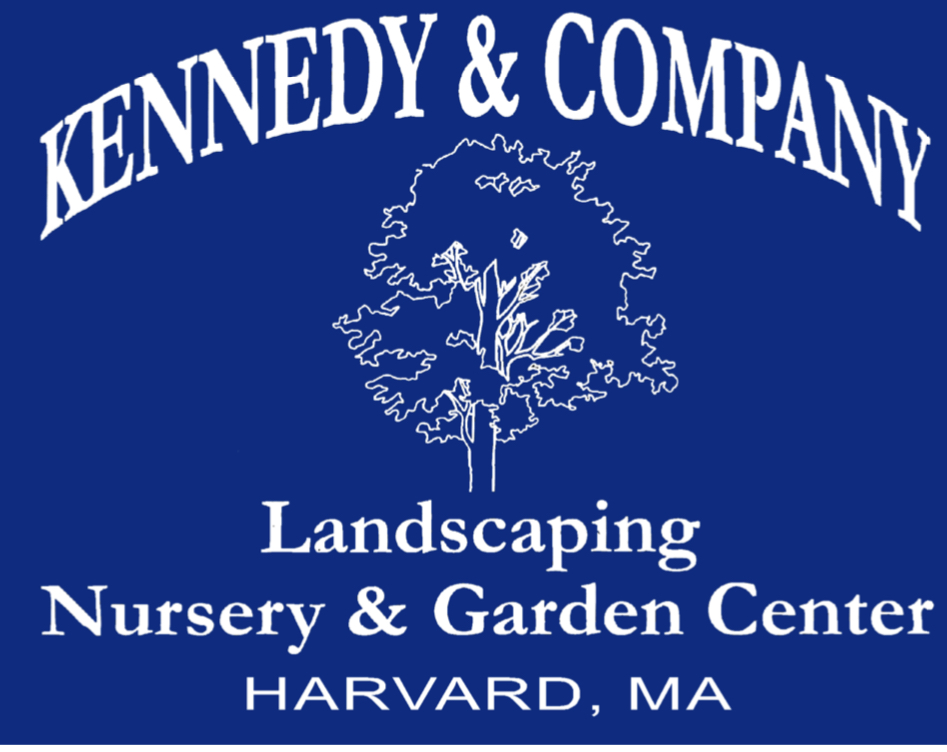 Logo for KENNEDY & CO