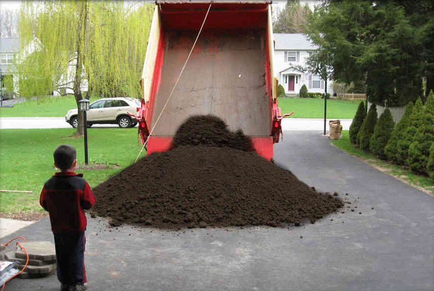 MY MULCH MAN logo