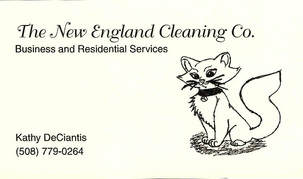 Logo for The New England Cleaning Company