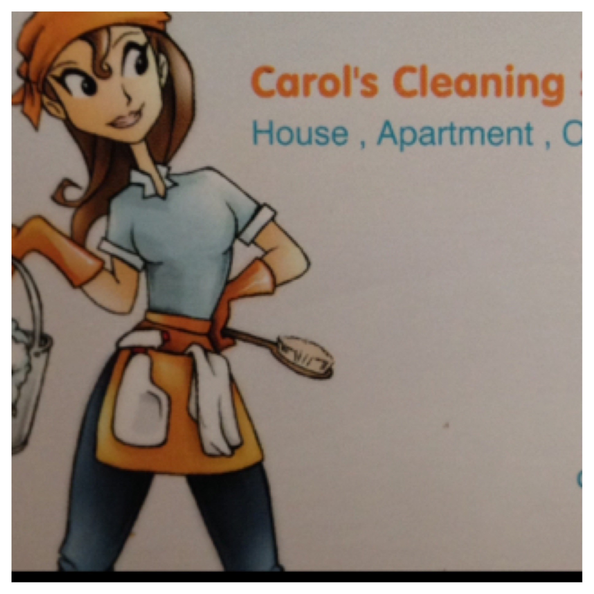 carol's cleaning services logo