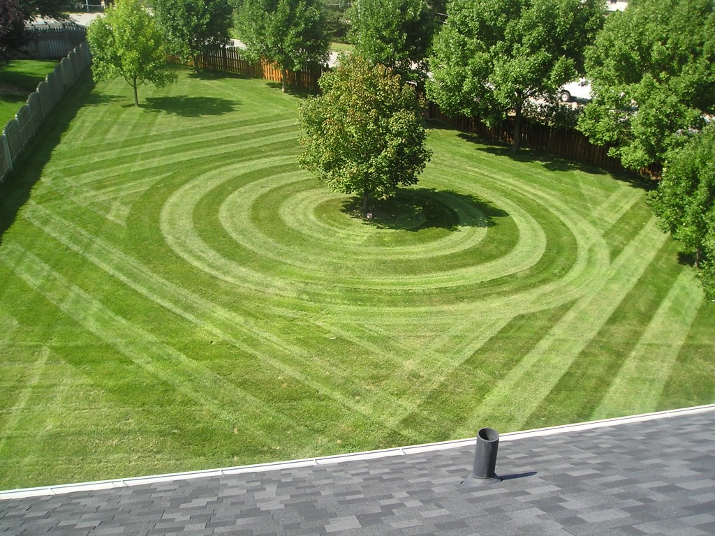 Landscape Services logo