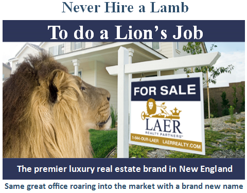 Jo Porter - Laer Realty Partners logo