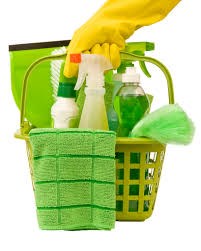 Logo for CleoNICE Cleaning