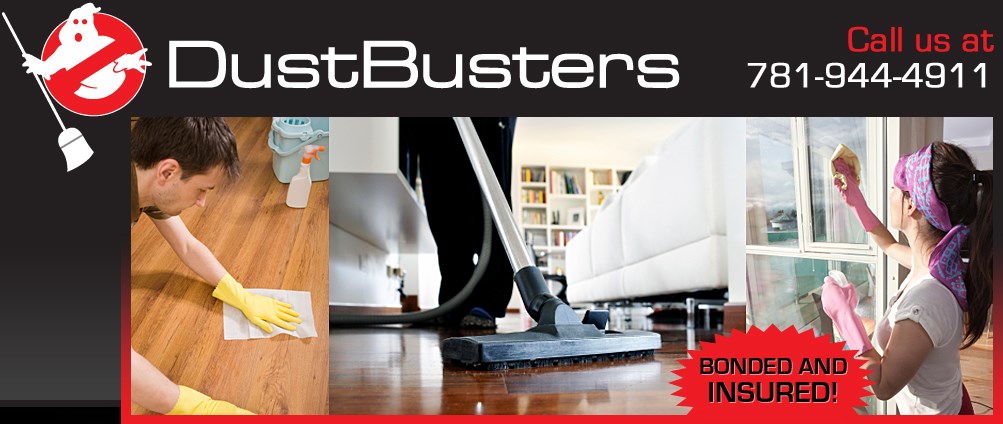 Dustbusters Cleaning logo