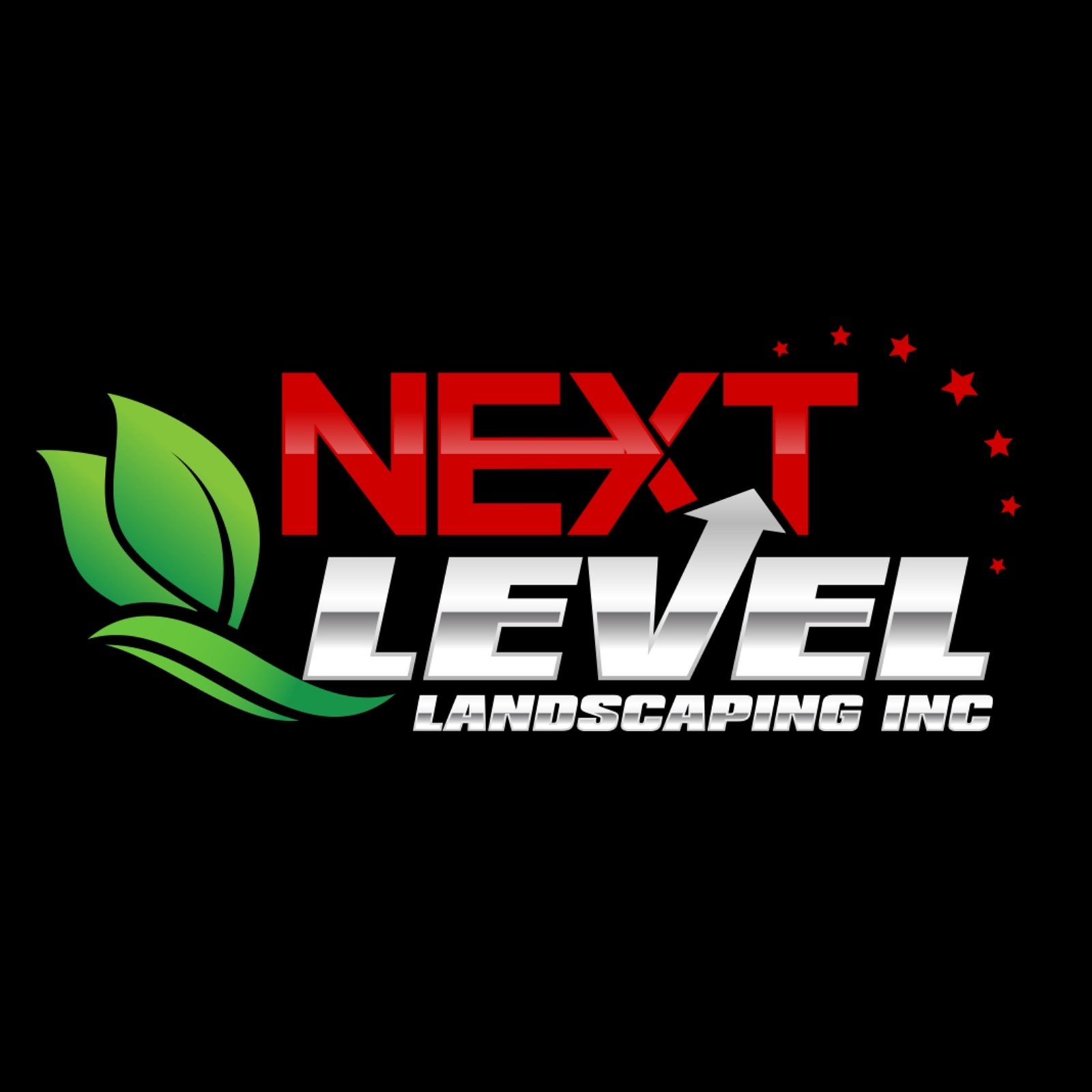 Avatar for Next Level Landscaping Inc