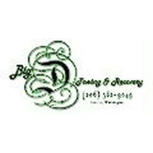 Big D Towing logo