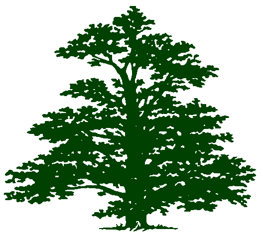 Logo for Jensen Tree Experts