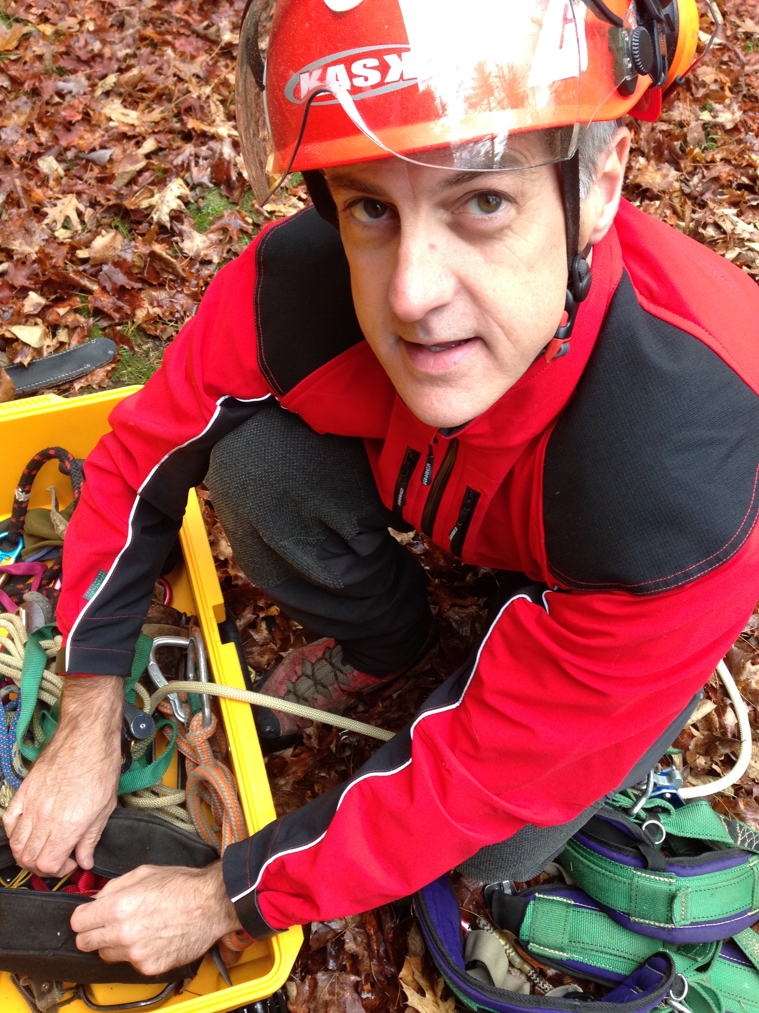 Avatar for Olympic Tree & Land Management