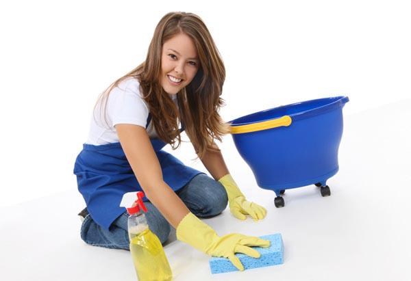 House of Clean logo