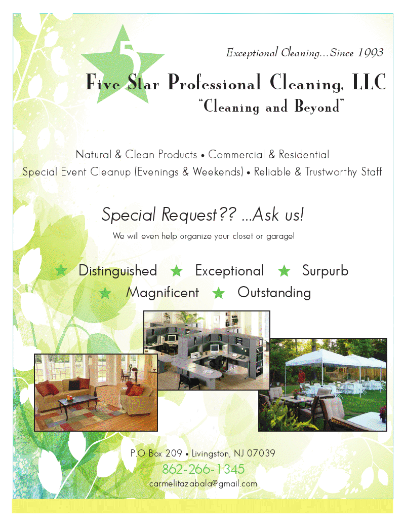 Five Star Professional Cleaning, LLC logo