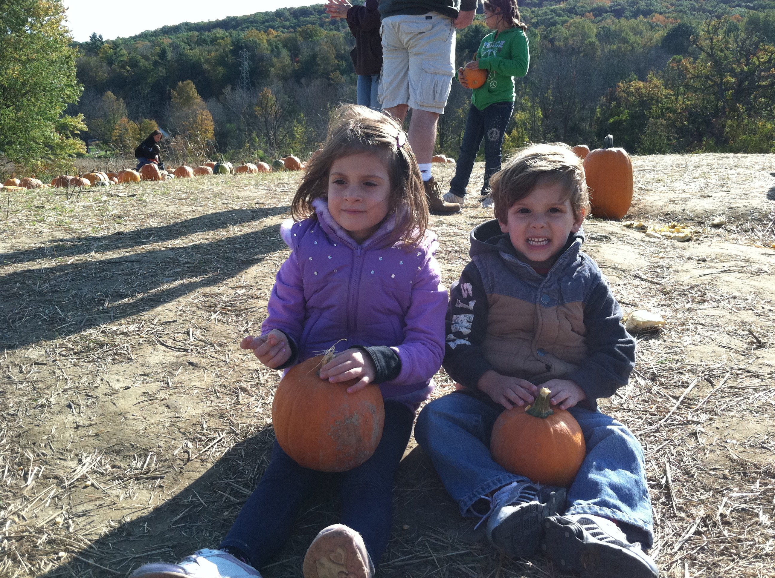 Joey ''P'' Plumbing & Heating logo