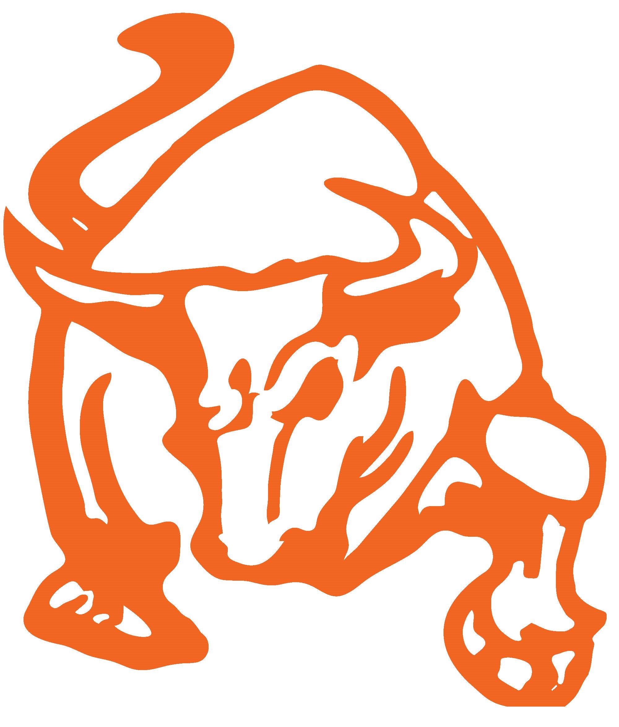 BullStone Corp. logo