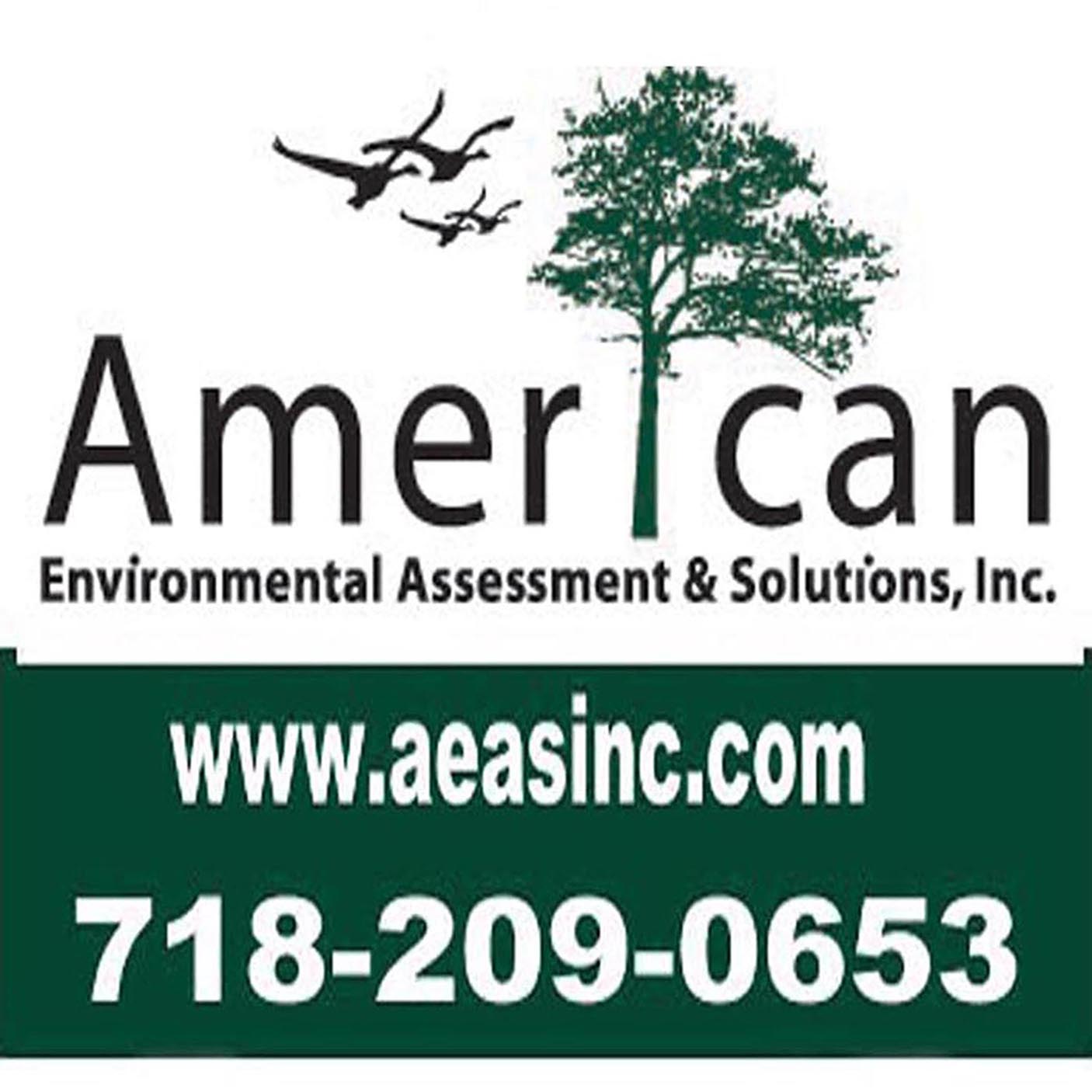 American Environmental Assessment & Solutions, Inc logo