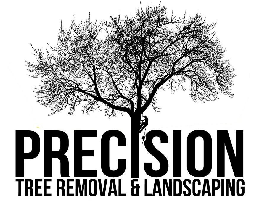 Logo for Precision servicing