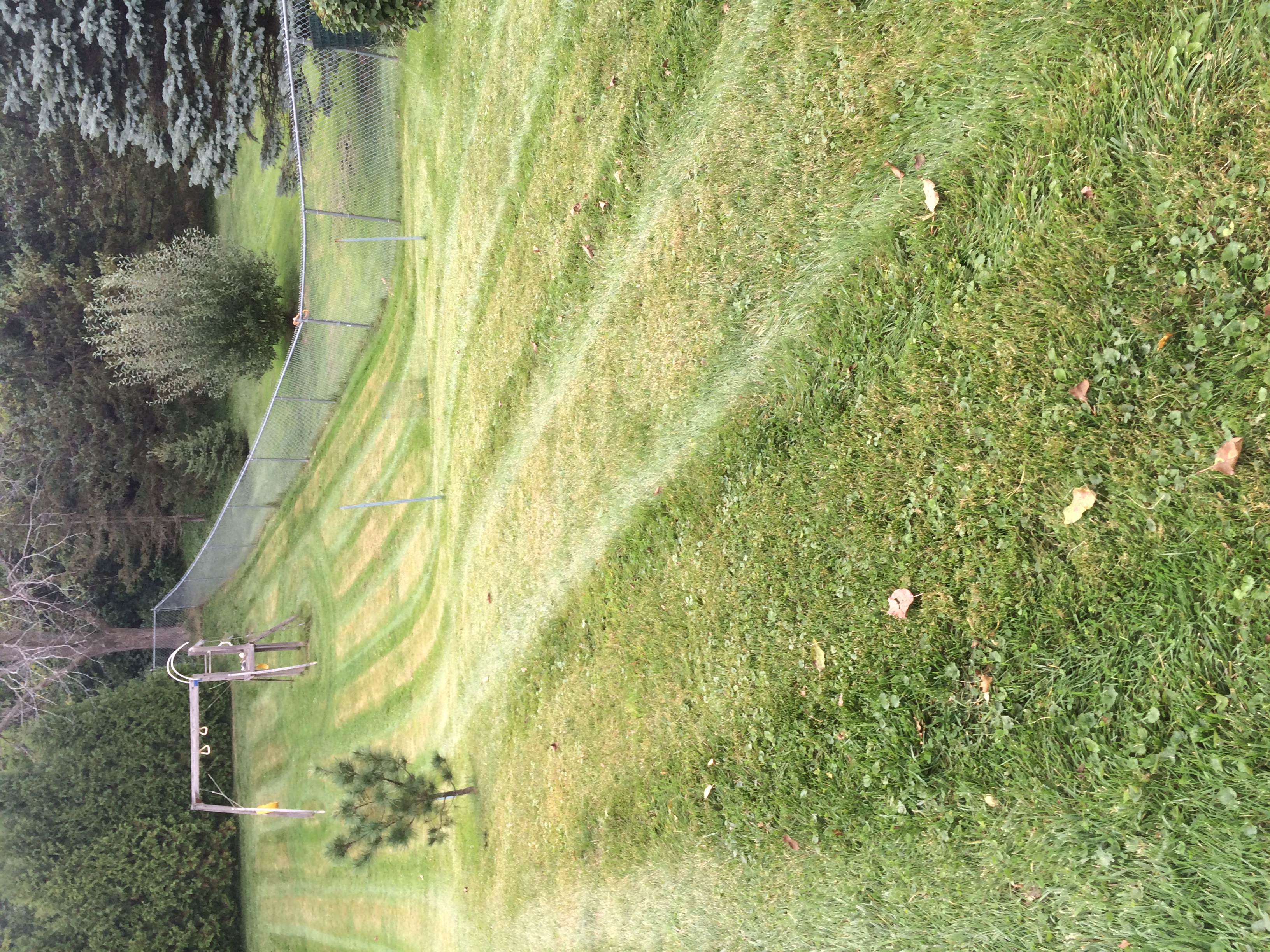 Sticks & Stones Landscaping LLC logo