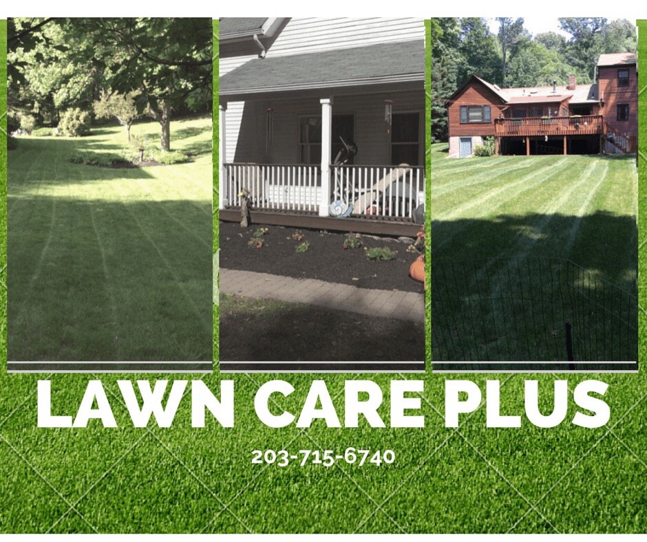 Logo for Lawn Care Plus