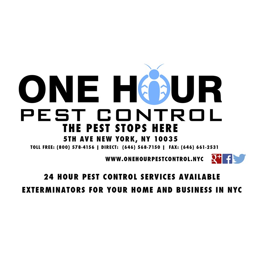 One Hour Pest Control logo