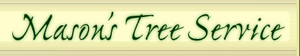 Logo for Mason's Tree Service