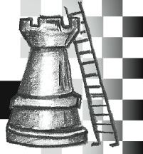 Rook Renovations logo