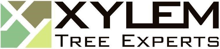 Logo for Xylem Tree Experts