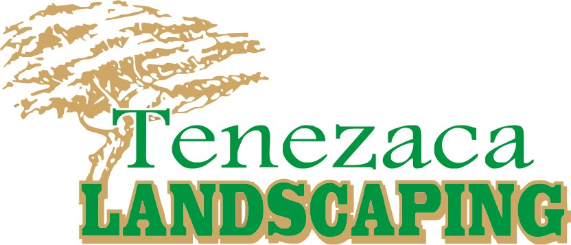 Tenezaca Landscaping logo