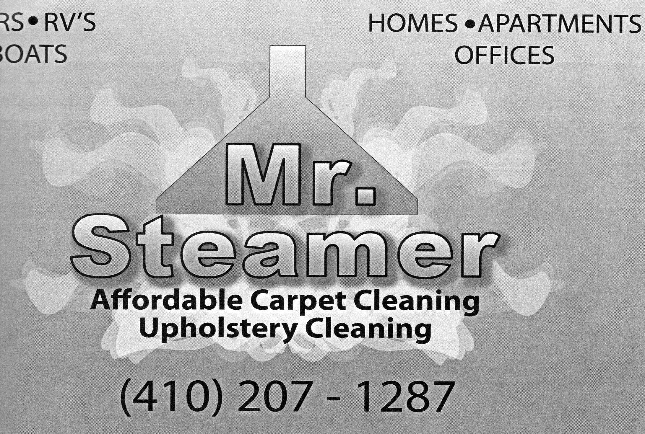 Mr Steamer "The Carpet Cleaner" logo