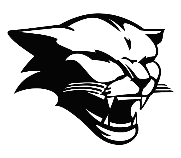 Avatar for Cougar Development Corp