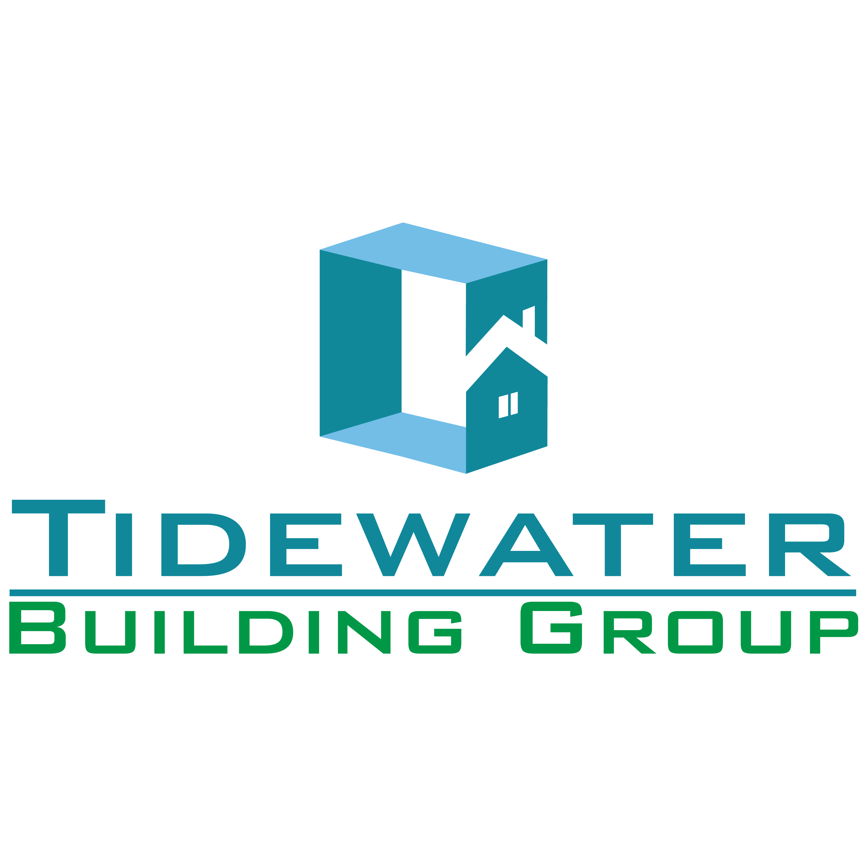 Tidewater Building Group logo