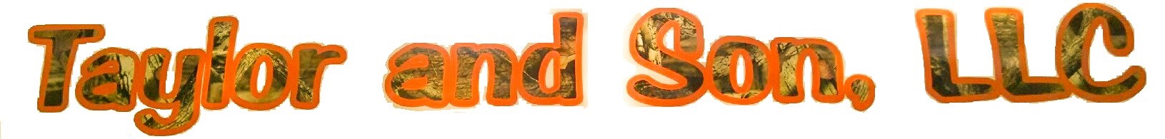Taylor and Son LLC logo