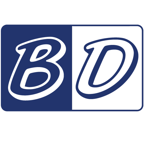 Budget Dumpster Rental logo