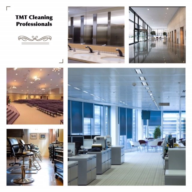 Avatar for TMT Cleaning Professionals