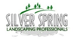 WOODSBLASTER LANDSCAPING SVCS logo